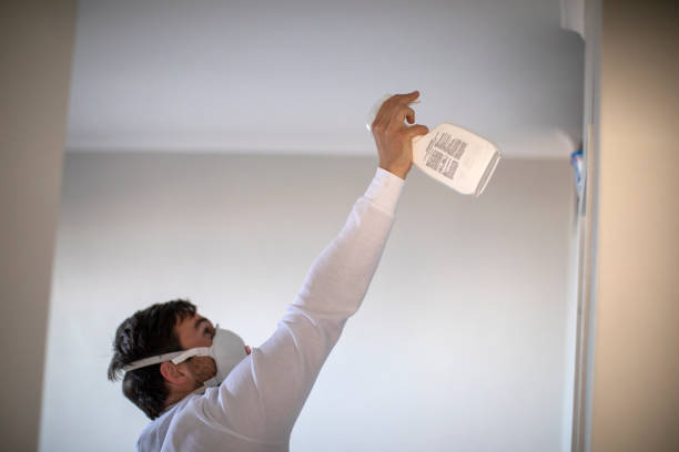 Best Localized Mold Remediation (e.g., coastal areas, humid climates) in Castleton On Hudson, NY
